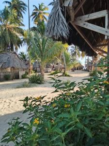 a view of a beach with palm trees and a hut at D-Gunayar Experience in Cabins classic in Arritupo Número Dos
