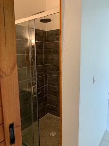 um chuveiro com uma porta de vidro na casa de banho em Maison dans les hauteurs em Le Gosier