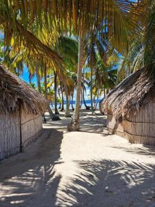 una playa con 2 cabañas de paja y palmeras en Gunayar amazing, en Arritupo Número Dos