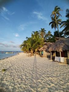 una playa de arena con palmeras y cabañas en Gunayar amazing, en Arritupo Número Dos