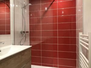 蘭德里的住宿－Appartement Peisey-Vallandry, 2 pièces, 4 personnes - FR-1-757-85，红色瓷砖浴室设有淋浴和盥洗盆