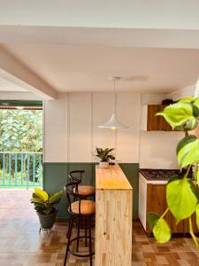 una cocina con encimera y algunas plantas en una habitación en Casa colonial Filandia, Quindio, en Filandia