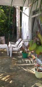 Zahrada ubytování Villa Jungle Paradise