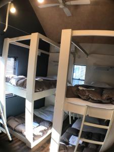 a group of bunk beds in a room at ゲストハウス　三宮えびすや in Kobe