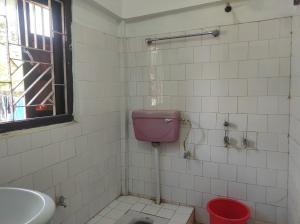 a bathroom with a pink toilet and a sink at Duda Lodge in Tezu