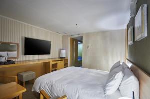 TV o dispositivi per l'intrattenimento presso Hotel Interciti