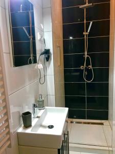 La salle de bains est pourvue d'un lavabo et d'une douche. dans l'établissement Downtown studios Budapest, à Budapest