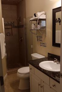 a bathroom with a shower and a toilet and a sink at Arden Park Charm in Sacramento