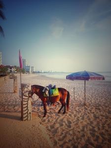 a horse standing on a beach with an umbrella at The Room Arun in Hua Hin