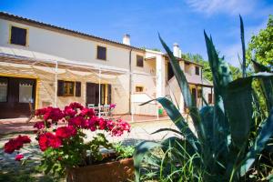 a house with pink flowers in front of it at Il Casale Di Montefreddo in Sirolo