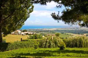 a view of the ocean from a field with trees at Il Casale Di Montefreddo in Sirolo