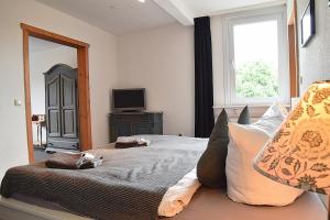ein Schlafzimmer mit einem Bett mit einem Spiegel und einem TV in der Unterkunft Hotel Rosenhof Braunlage in Braunlage