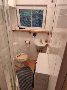 een kleine badkamer met een toilet en een wastafel bij Csendes pihenés az erdő mellett - Madárfüttyös Vendégház in Pilisszentlászló