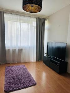een woonkamer met een tv en een paars tapijt bij After Six Apartment in Bratislava