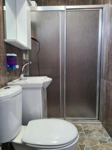 een badkamer met een douche, een toilet en een wastafel bij Sword hotel in Sile