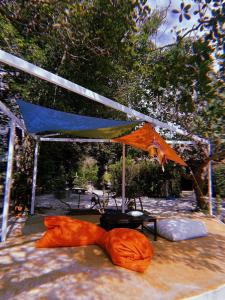 ein blaues und orangefarbenes Zelt mit einem Tisch darunter in der Unterkunft Tropical Hostel in Ko Phayam