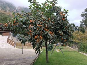 Giardino di Orminia ground level