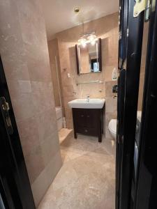 a bathroom with a sink and a toilet at Luxury Copou Apartments in Iaşi