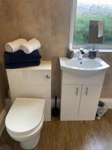 ein Badezimmer mit einer weißen Toilette und einem Waschbecken in der Unterkunft Roker Cottage, luxury seaside apartment, private parking, sky tv in Sunderland + 29 Fotos