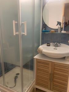 a bathroom with a sink and a shower at Appartement avec jardin et parking privé à 3 min à pied de la plage St Pierre la mer in Fleury