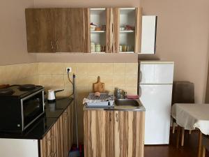 a small kitchen with a sink and a refrigerator at Stan blizu izlaza na autoput in Mali Mokri Lug