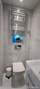La salle de bains blanche est pourvue de toilettes et d'un lavabo. dans l'établissement Studio Flat / London Gateway, à Borehamwood