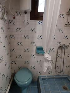 een badkamer met een blauw toilet en een douche bij Mary's Traditional home in Aigáni