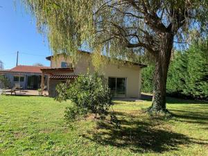 a house with a tree in the yard at Sous le Saule, entre lac et océan in Naujac-sur-Mer