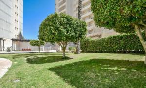 Zahrada ubytování Homeincalpe Apolo XVI 2-11-52