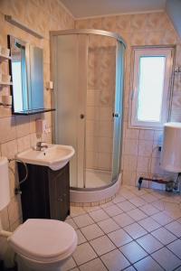 W łazience znajduje się prysznic, umywalka i toaleta. w obiekcie Domki Bieszczadnik w mieście Hoczew