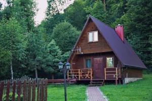 mały drewniany dom z czarnym dachem w obiekcie Domki Bieszczadnik w mieście Hoczew