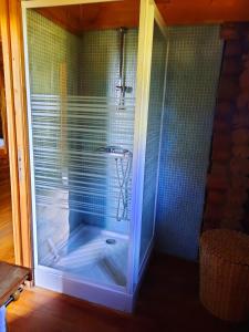 a shower with a glass door in a bathroom at CHALET RONDIN JURA in Aromas
