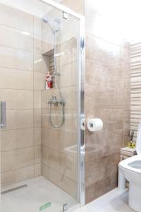 a shower stall in a bathroom with a toilet at Lake View Terrace Apartment in Kastoria
