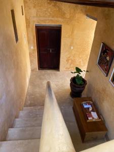 eine Treppe mit einer Topfpflanze und einer Tür in der Unterkunft Ttunu House in Lamu