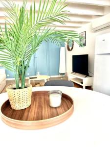 a living room with a potted plant on a table at Le Cabanon à Pépé, aux Goudes in Marseille