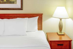 阿普爾頓學院大道拉金塔旅館及套房酒店房間的床