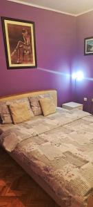 Voodi või voodid majutusasutuse Apartman Žile toas
