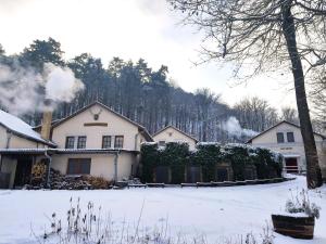 una casa è coperta di neve in un cortile di Rókabérc Vadászház Hotel a Erdőbénye