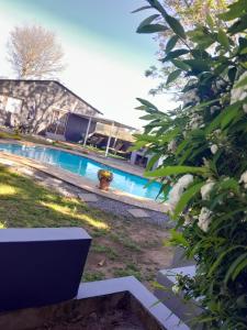 a view of a swimming pool in a yard at Adante Lodge & Conferencing in Mthatha