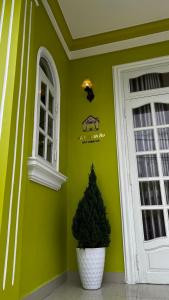 ein grünes Zimmer mit einer Tür und einer Topfpflanze in der Unterkunft Nhà Xanh Bơ in Da Lat