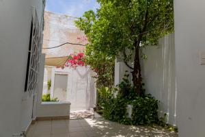 Zahrada ubytování Hotel Las Palmas Cancun Centro