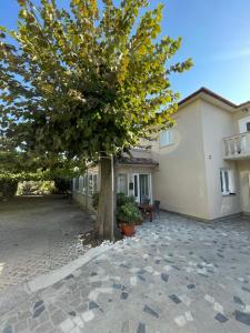 a tree in the courtyard of a building at Rooms Krstinić 84 in Palit