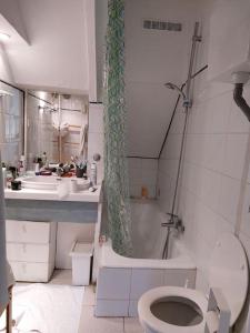 y baño con ducha, aseo y lavamanos. en Chatelain Residence, en Bruselas