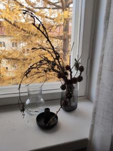 eine Vase auf einem Fensterbrett mit Blumengestell in der Unterkunft Spacious and charming studio in Rovaniemi