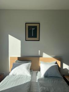 Легло или легла в стая в Dodohaus