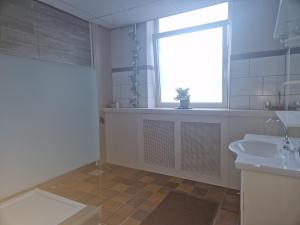 a bathroom with a sink and a window at B&B 't Kloaster kamer Het Landhuis in Hulsberg
