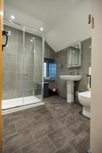 a bathroom with a shower and a toilet and a sink at Amazing coastal & sunset views in Eryri (Snowdonia) in Llanllyfni