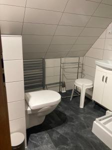 ein Bad mit einem WC, einem Waschbecken und einem Stuhl in der Unterkunft Pension Richter in Ückeritz