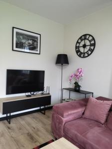 Televízia a/alebo spoločenská miestnosť v ubytovaní Apartament Zamkowe Wzgórze