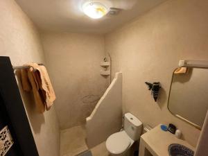 een badkamer met een toilet, een douche en een wastafel bij Riad ouhmidi in Marrakesh